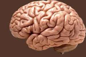 آموزش مشاغل 